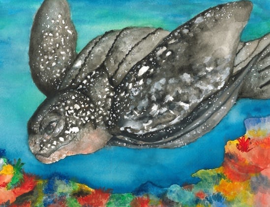 Mackenzie C., Grade 7, "Gliding Leatherback"